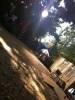 The Mentalist Photos de tournage saison 4 