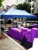 The Mentalist Photos de tournage saison 5 