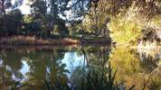 The Mentalist Photos de tournage saison 7 