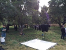 The Mentalist Photos de tournage saison 7 